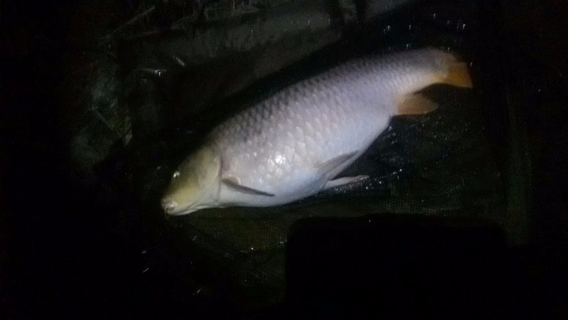 Etang013.JPG