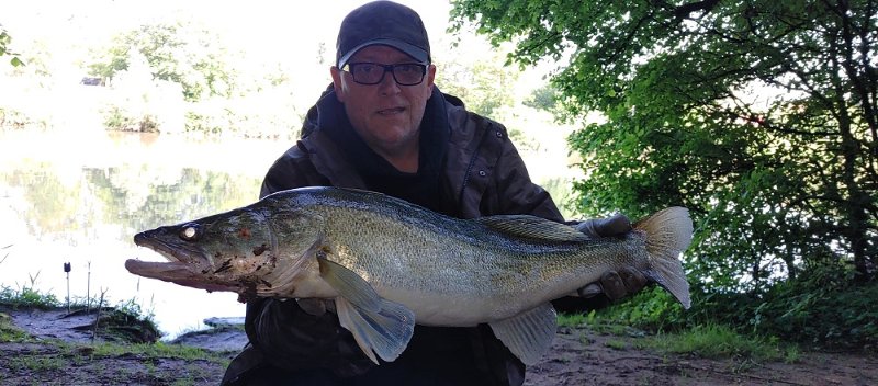 Zander 75 cm - Kopie.jpg