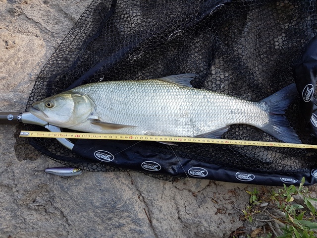 20160830_173618.jpg
