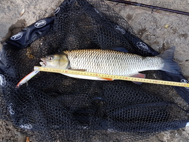 20160830_183747.jpg