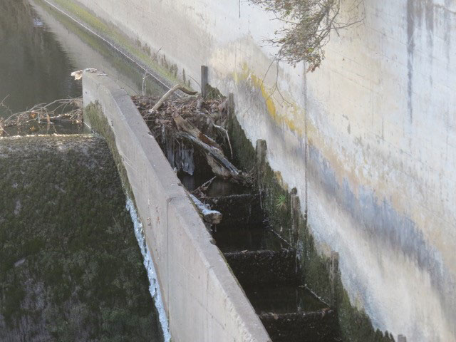 Oberer Neckar5.JPG