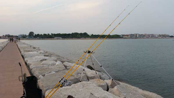 20150814_194901.jpg