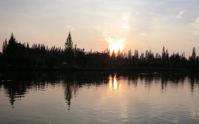 CIMG6154.jpg