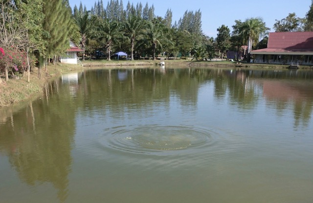 CIMG6227.jpg
