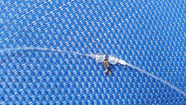 20150823_170832.jpg