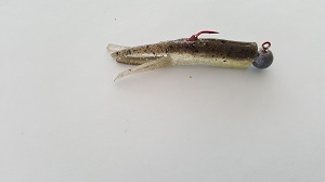 20171014_.jpg