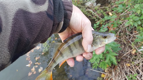 20171021_001.jpg
