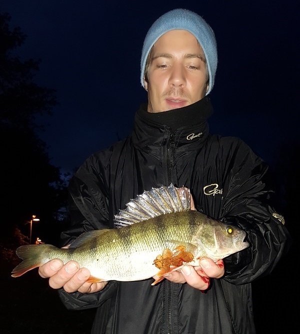 20171022_010.jpg